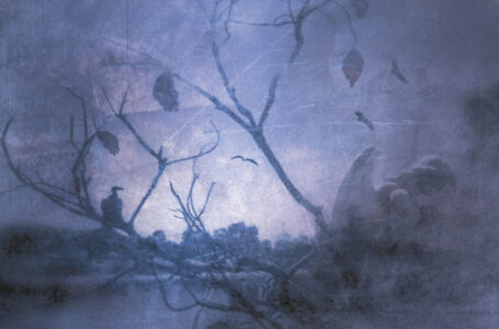 Dead heart, in a dead world